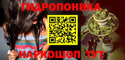 эйфоретик Шебекино