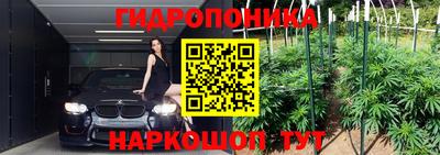 эйфоретик Шебекино