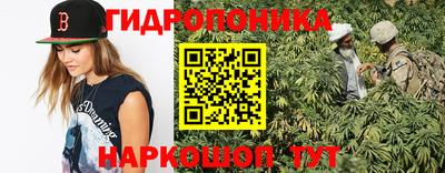 ешки Шелехов