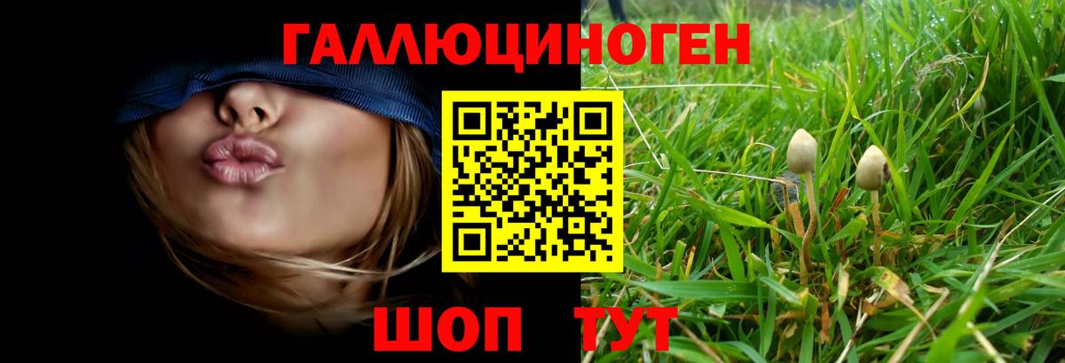 Галлюциногенные грибы Cubensis  Вход с VPN  Гуково 